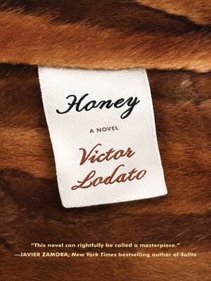 cover image of Honey